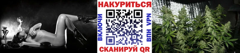 Бошки Шишки Amnesia  Киселёвск 
